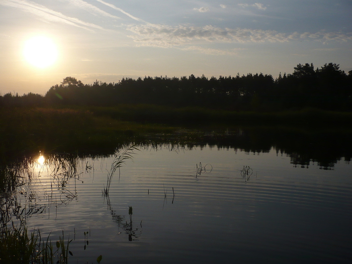 P1000282 (700x525, 212Kb)