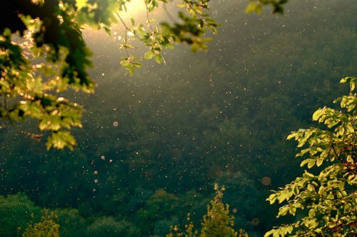 9cUdFbpkMRc (500x333, 42Kb)