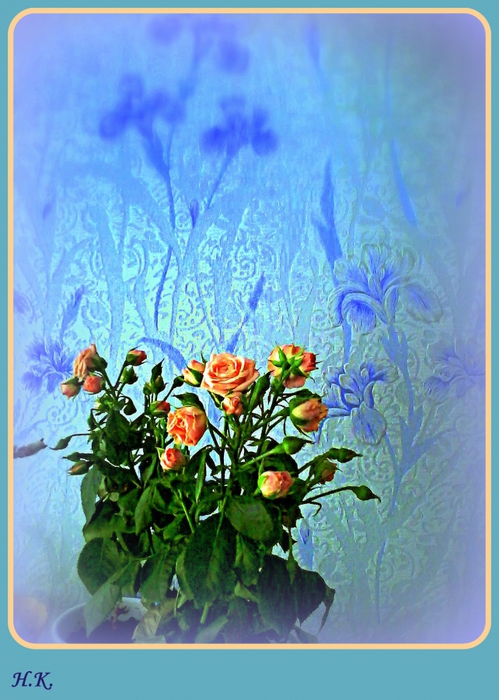 4686903_IMG_20120419_131739 (499x700, 275Kb)
