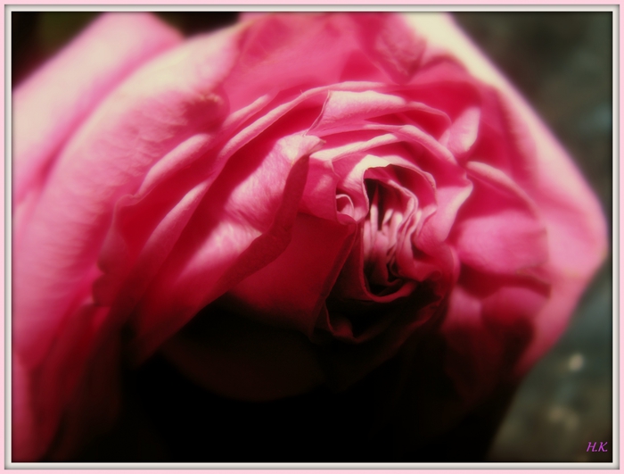 4686903_IMG_4737 (700x531, 164Kb)