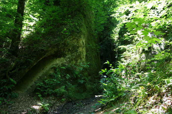 4695821_DSC02301resize (700x465, 193Kb)