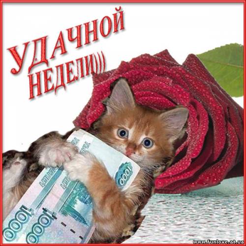 74378753_zhelayu_udachnoy_nedeli (500x500, 44Kb)