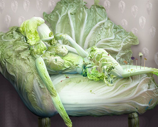 4826692_Kapusta_13 (640x512, 75Kb)