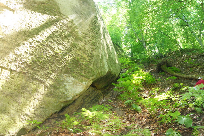 4695821_DSC02350resize (700x466, 262Kb)