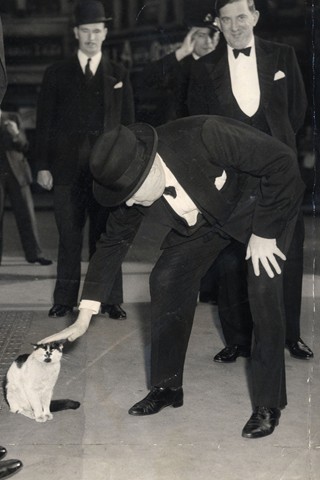 1952_winstonchurchill_cat_v_28may12_rex_b_320x480 (320x480, 34Kb)