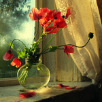 tumblr_lz3frxyC831qzzjaoo1_500_large (150x150, 67Kb)