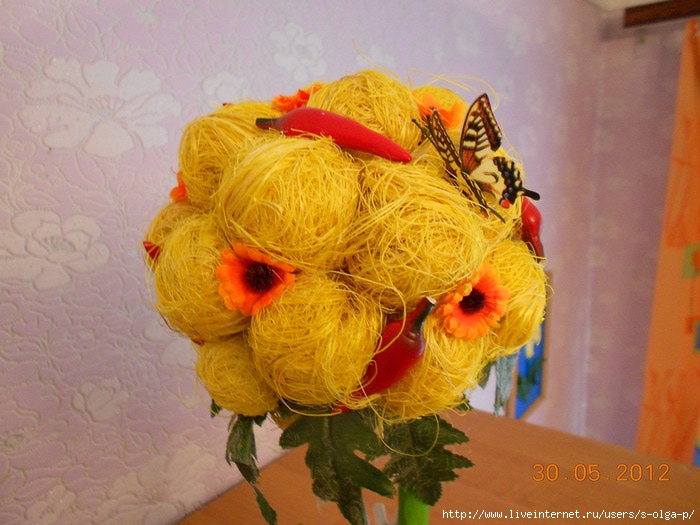 DSCN0777 (700x525, 226Kb)