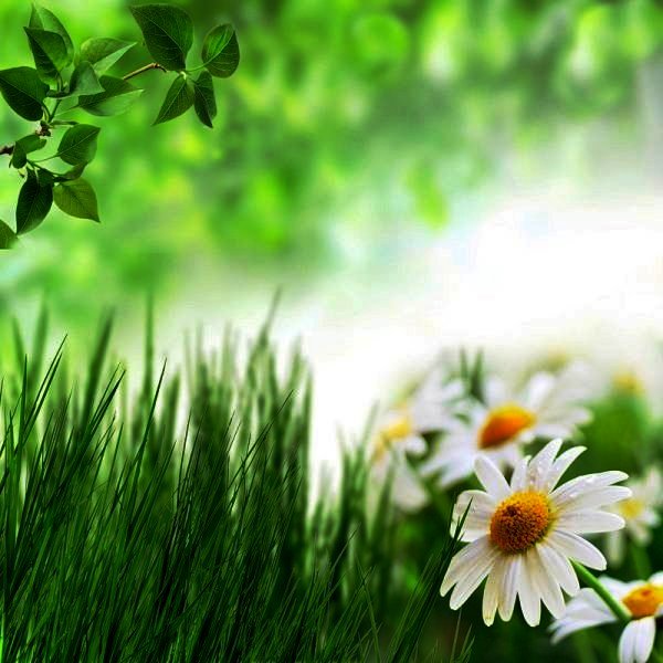 4686903_1332139416_0_84228_b8b6f108_xl (600x600, 65Kb)