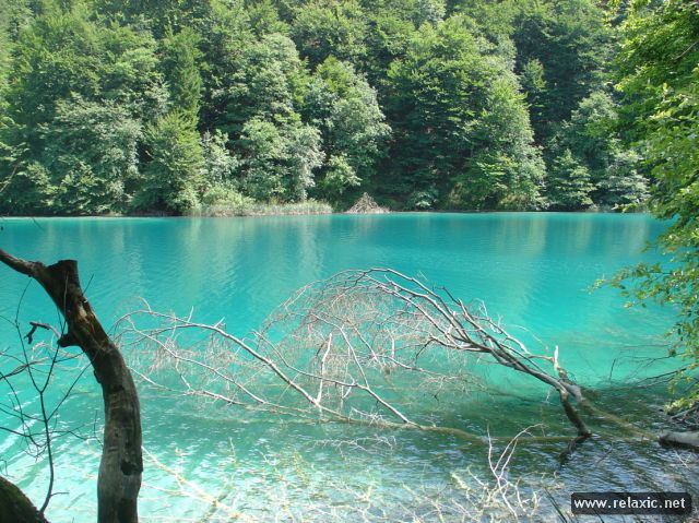 Plitvice-Lakes_029 (640x479, 94Kb)