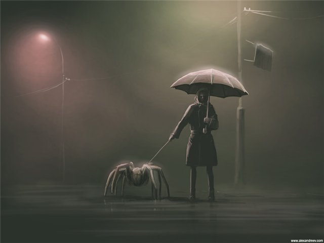  (640x480, 21Kb)