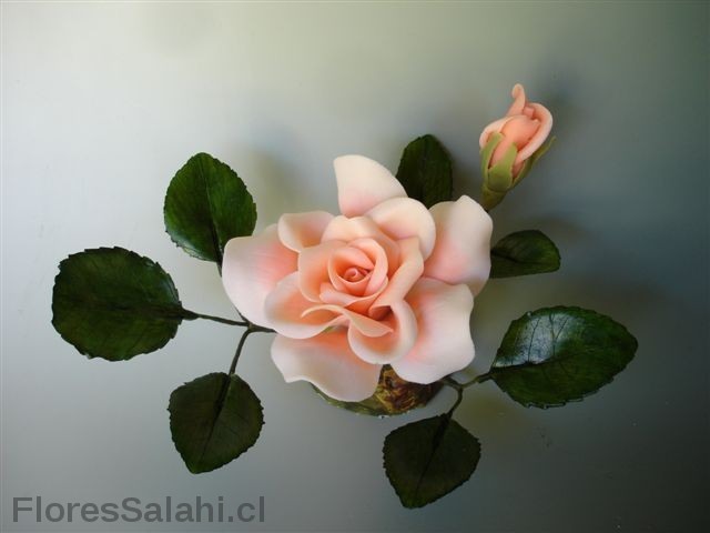 1334066695_0_6a588_9ee74d9e_xl (640x480, 32Kb)