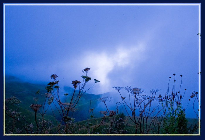 Песни летов туман. Синий туман. Природа туманно синий цвет. Синий туман летом природа. Голубоватый туман.
