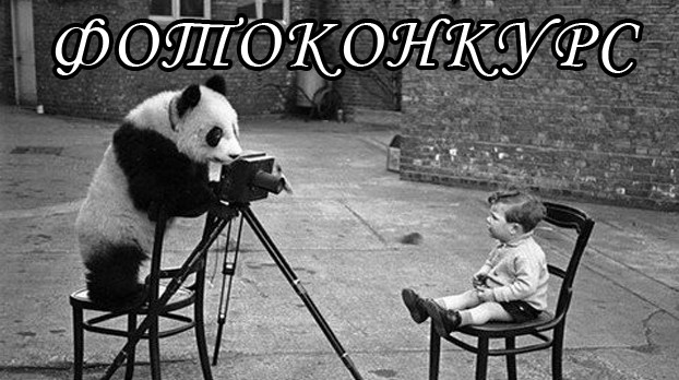 3983111_foto_konkurs (622x348, 76Kb)