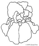  4largeiris (432x512, 34Kb)