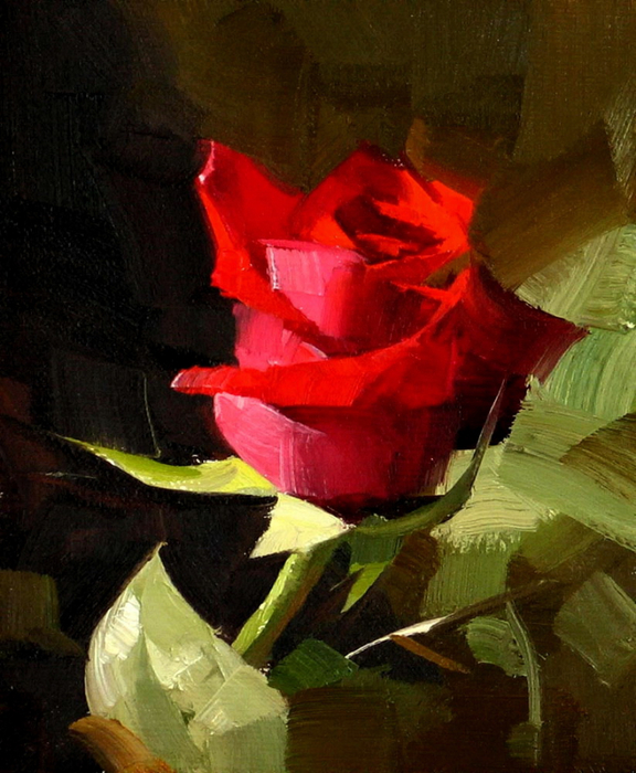 Red Rose 3 (576x700, 432Kb)