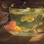  tumblr_m5fyh5sGUa1rqcfj2o1_500_large (150x150, 65Kb)