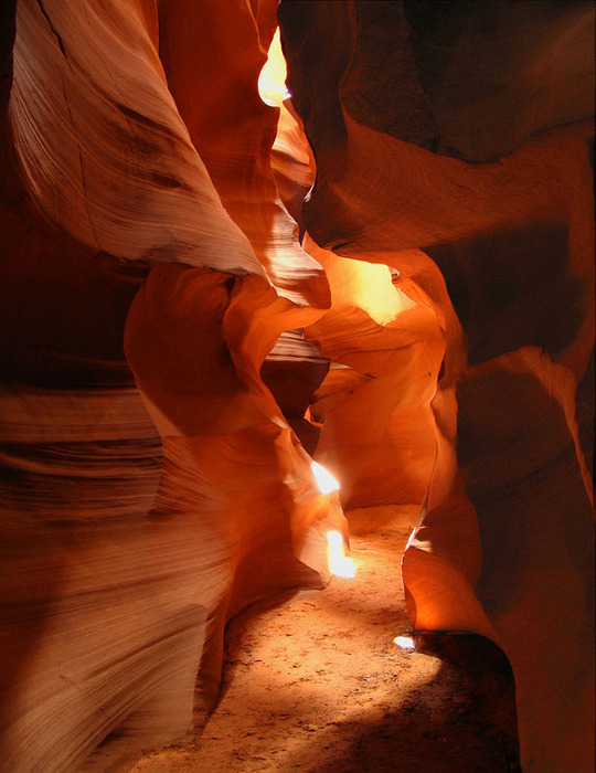 3623822_477122 (540x700, 120Kb)