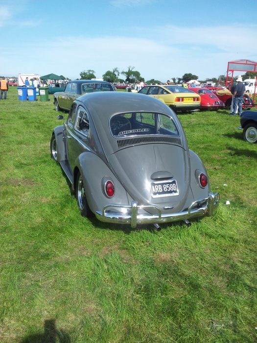 3623822_c73 (525x700, 317Kb)