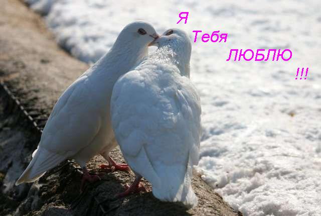 736906 (640x430, 33Kb)