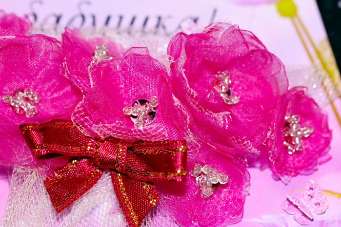 3515295_IMG_3537 (700x466, 192Kb)