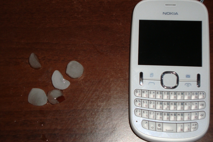 DSC06680 (700x466, 220Kb)