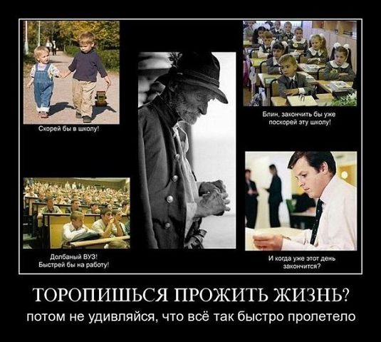   (535x480, 52Kb)