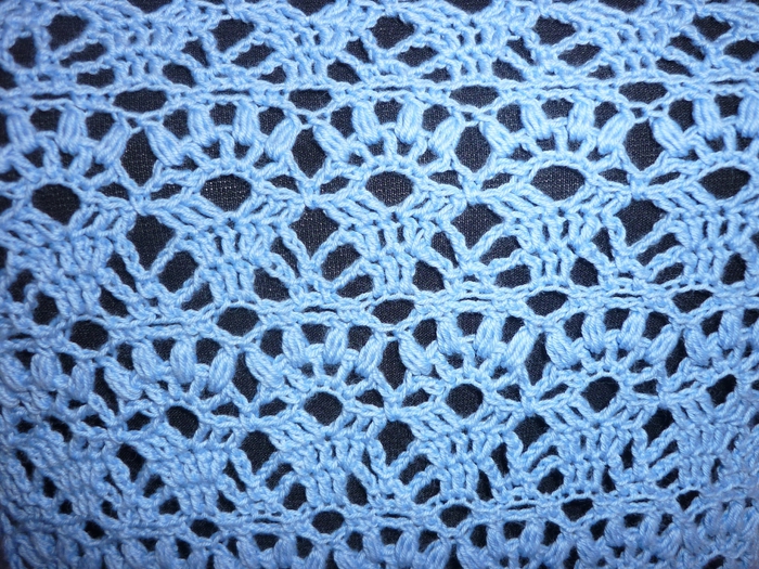 P1020305 (700x525, 394Kb)