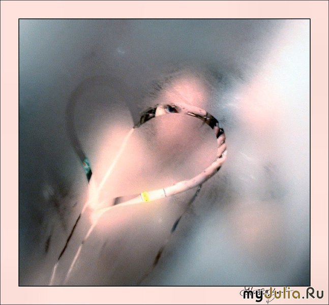 382838_6061-800x600 (647x600, 52Kb)