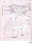  Molde 07 (372x512, 58Kb)