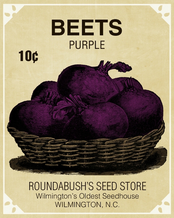 seeds-beets (560x700, 328Kb)