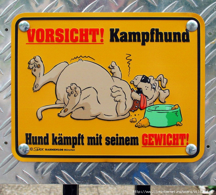 Kampfhund-Gewicht (700x633, 342Kb)