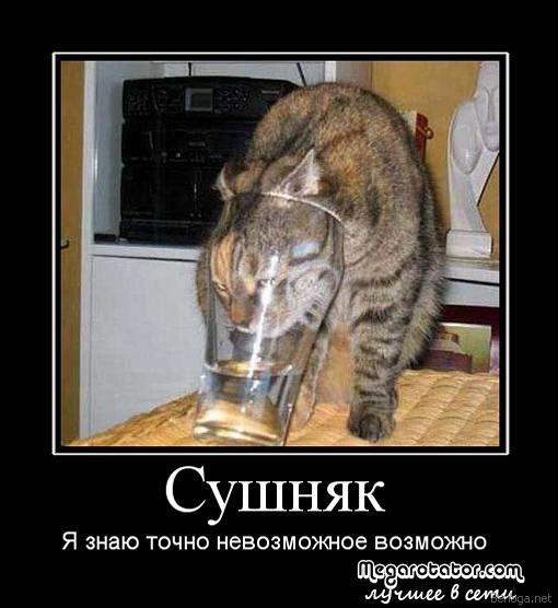 4326608_berloga_net_441168769 (510x556, 41Kb)