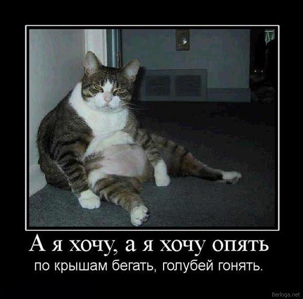 4326608_berloga_net_1281528113 (600x593, 40Kb)
