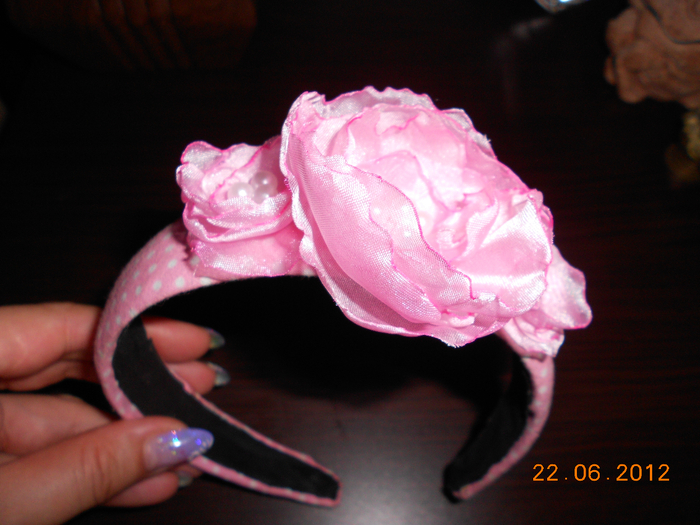 DSCN0905 (700x525, 403Kb)