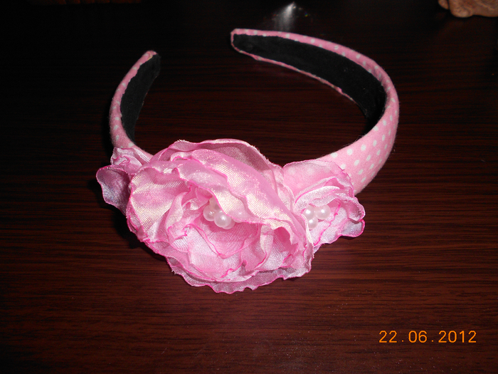 DSCN0903 (700x525, 464Kb)