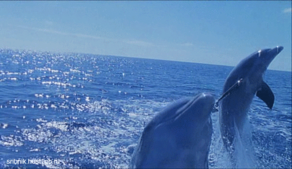 88632958_1340532544_87229810_________[1] (599x347, 3249Kb)