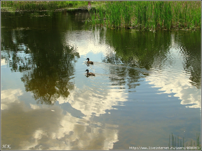 4686903_IMG_5570 (700x526, 352Kb)