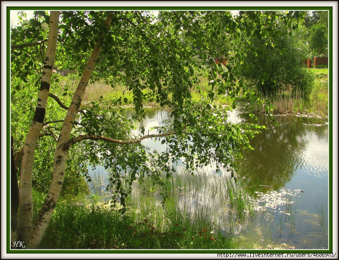 4686903_IMG_5566 (700x536, 470Kb)