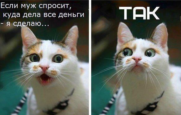 (585x373, 36Kb)