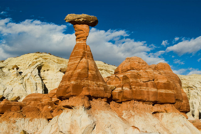 3623822_a16 (700x466, 305Kb)