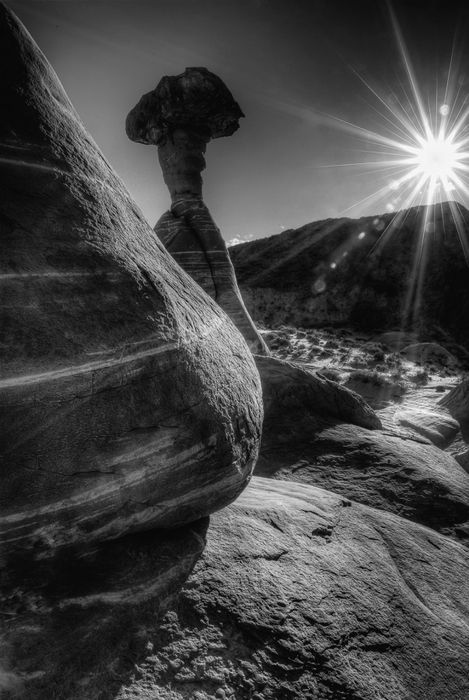 3623822_a12 (469x700, 212Kb)