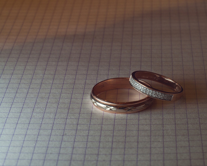 IMG_1515 (700x560, 95Kb)