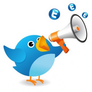 twitter-bird-with-megaphone (300x300, 14Kb)