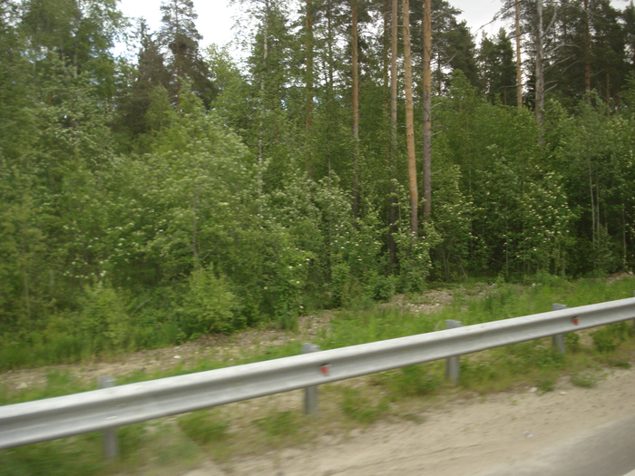 DSC01757 (700x525, 524Kb)