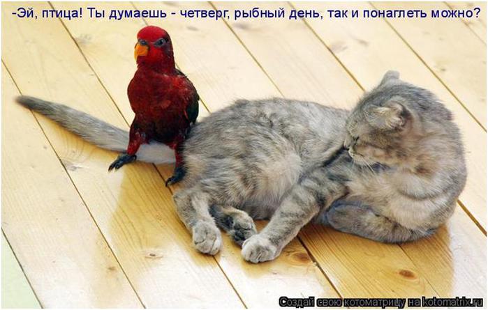 http://img0.liveinternet.ru/images/attach/c/5/88/803/88803550_062812_1428_13.jpg