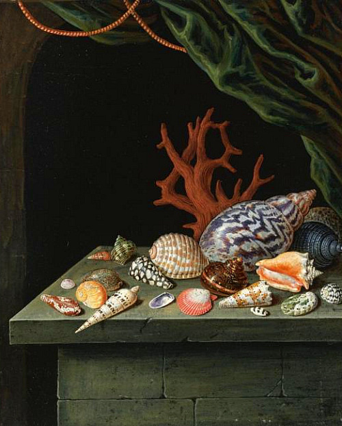 3623822_Antoine_Berjon1 (500x622, 104Kb)
