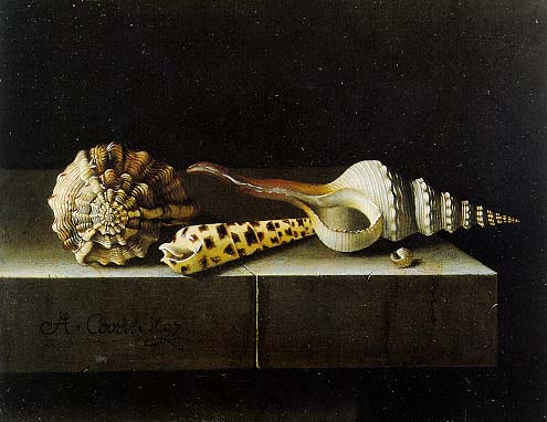 3623822_Adriaen_Coorte3 (495x382, 40Kb)