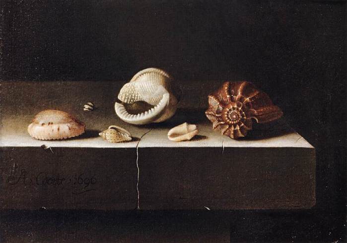 3623822_Adriaen_Coorte1 (700x489, 35Kb)