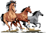  running_horses_05 (700x510, 267Kb)