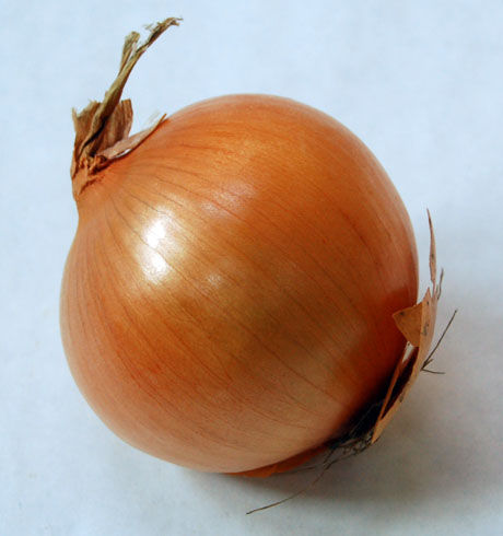 2634865_lyk (460x490, 59Kb)